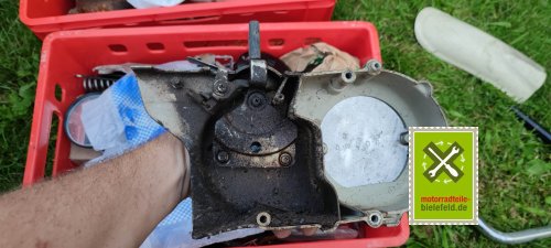 IMG_20230911_192825